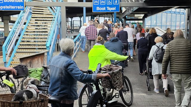Fietsers in Den Helder